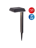 näve LED-Solar-Gartenstecker "Sigi" in Schwarz - (B)15 x (H)75 x (T)15 cm