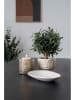 House Nordic Bloempot beige - (H)12 x Ø 15 cm