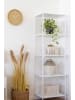 House Nordic Sztuczna roślina "Hoya Carnosa" w kolorze zielonym - wys. 33 cm