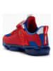 Bull Boys Sneakers "T-Rex Scarpa" in Rot/ Blau