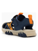 Bull Boys Halbsandalen "T-Rex" in Dunkelblau/ Creme