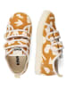 KAVAT Sneakersy "Skene TX" w kolorze pomarańczowym