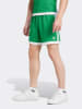 adidas Trainingsshort groen