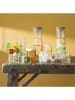 L.S.A. 3-delige set: azijn- en oliedispenser "Gio Line" lichtbruin - 200 ml