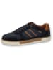 Camel Active Leder-Sneakers "Bayland" in Dunkelblau/ Hellbraun