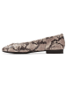 Clarks Leren ballerina's "Fawna" beige/bruin