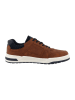 Tom Tailor Sneakers in Hellbraun