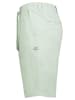 Eight2Nine Chinoshorts in Mint