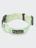 Paikka Halsband "Glow" in Grün