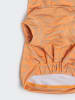 Paikka UV&Bug hondenshirt in oranje