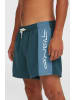 O'Neill Zwemshort "Retro" turquoise