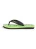 O'Neill Teenslippers "Profile" zwart/groen
