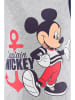 Disney Mickey Mouse Pyjama "Mickey" in Grau/ Rot