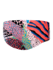 Speedo Badehose "Eco+" in Bunt