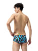 Speedo Badehose "Eco+" in Bunt