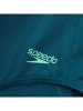 Speedo Badeanzug "Eco+ Flex" in Blau/ Grün