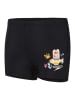 Speedo Zwembroek "Eco Place" zwart