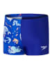 Speedo Badehose "Eco Dig Allover" in Blau