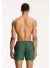 SHIWI Zwemshort groen