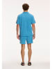 SHIWI Shorts in Hellblau