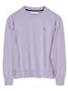 Polo Club Sweter w kolorze fioletowym