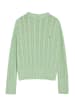 Polo Club Pullover in Hellgrün