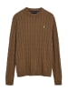 Polo Club Pullover in Braun