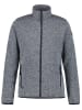 Icepeak Funktionsjacke "Agen" in Grau