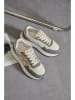 Sixth Sens Sneakers in Khaki/ Creme