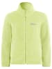 Jack Wolfskin Fleecejacke in Hellgrün