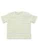 Little Dutch Shirt groen