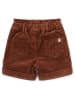 Little Dutch Short bruin