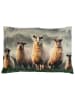 Mars & More Kussen "Sheep in grass" beige - (L)40 x (B)60 cm