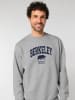 American Universities Bluza "Berkeley University of California" w kolorze szarym