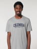 American Universities Shirt "Colombia University" in Grau