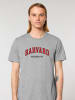 American Universities Koszulka "Havard University" w kolorze szarym