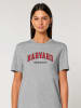 American Universities Shirt "Havard University" in Grau