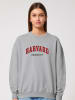 American Universities Sweatshirt "Harvard University" grijs