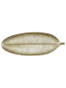 Ethnical Life Dekoschale in Gold - (L)59,5 x (B)22 cm