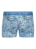 JACK & JONES Junior 3er-Set: Boxershorts in Hellblau/ Schwarz