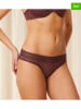 Triumph 2er-Set: Slips in Bordeaux