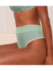 Triumph Taillestring mintgroen