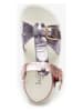 Lelli Kelly Sandalen paars/lichtroze