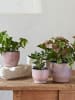 Knabstrup Blumenübertopf "Knabstrup" in Rosa - (H)12,5 x Ø 14,5 cm