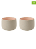 Stelton 2er-Set: Becher ''Emma'' in Beige/ Rosa - 150 ml