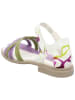 Think! Leren sandalen kaki/wit/paars