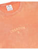 Champion Shirt oranje
