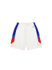 Champion Shorts in Weiß/ Dunkelblau/ Rot
