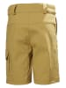Helly Hansen Funktionsshorts in Khaki