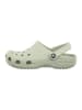Crocs Chodaki "Classic" w kolorze zielonym